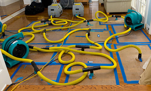 Professional Burst Pipe Water Damage technician working in Attleboro, MA
